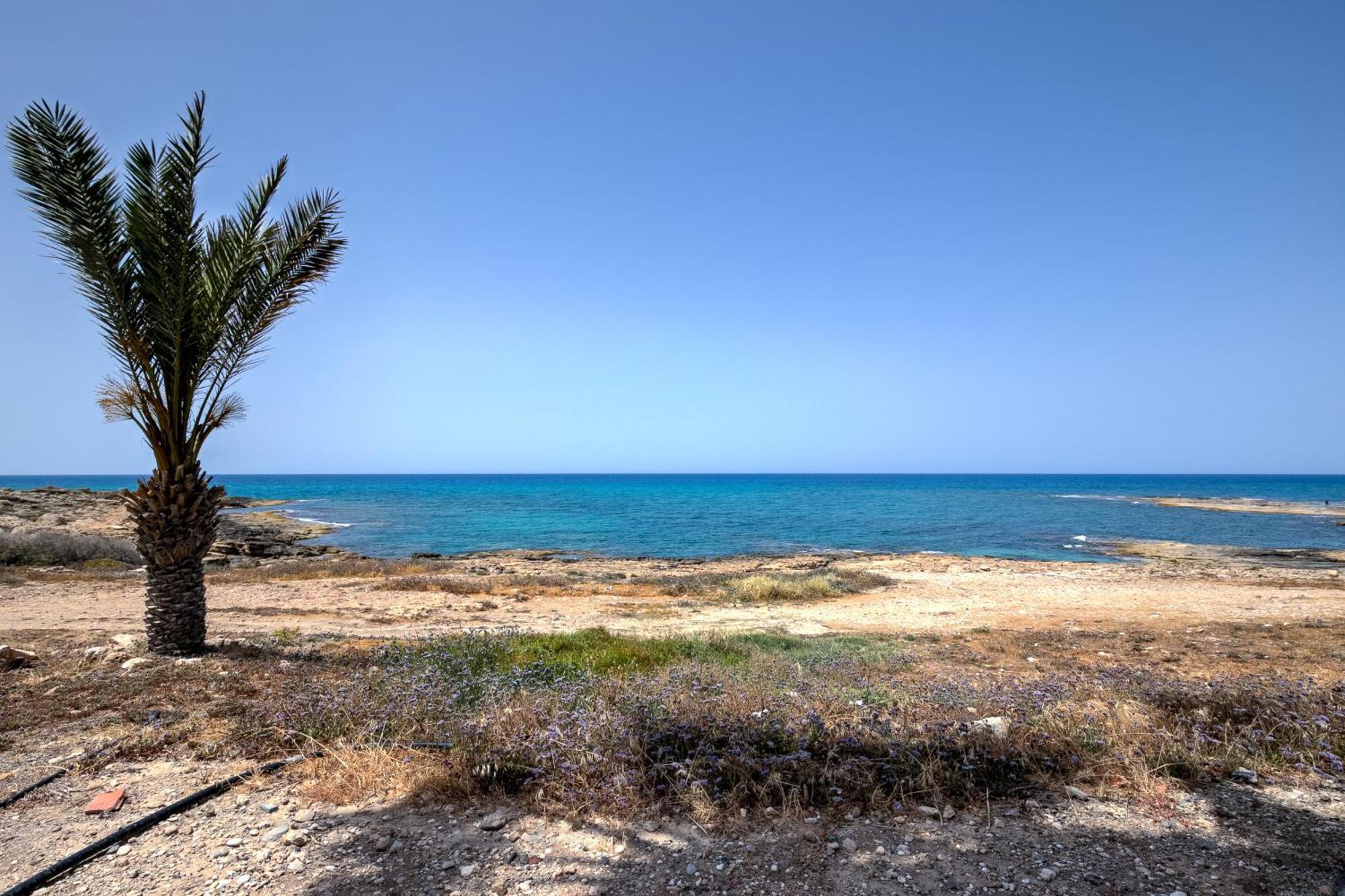Platzia Beach Villas Paphos Kültér fotó